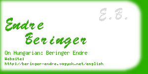 endre beringer business card